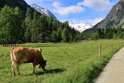 Pontresina.Val Roseg