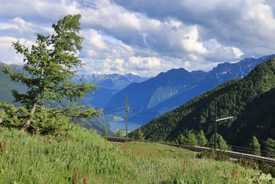 View from Alp Grm