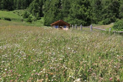 Hiking around Guarda