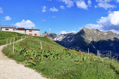 View from Alp Grm