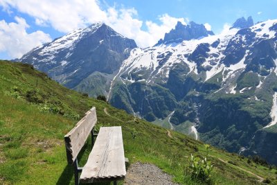 A Bench vith a View