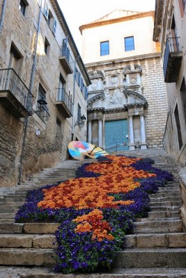 Girona. Pujada de Sant Domnec