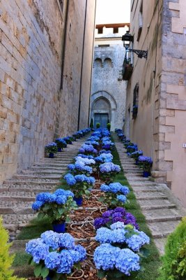 Girona. Temps de Flors