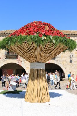 Girona. Temps de Flors