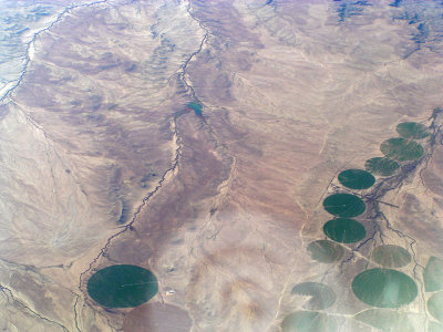 Circles of Green. Crop Circles in the desert