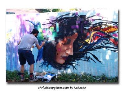 Kaka'ako Wall Art 2014