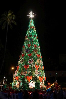 Honolulu Christmas Tree