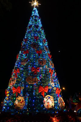 City Hall Christmas Tree