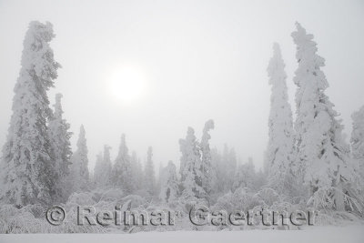 Sudden snow conditions on the Dalton Highway Alaska at a high point just south of the Yukon River
