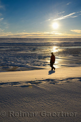 Man walking on the banks of the Sag river emptying into Prudhoe Bay Beaufort Sea Arctic Ocean Alaska
