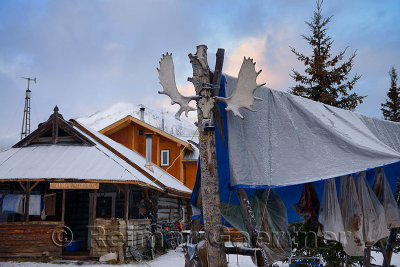 Bed and Breakfast cabins with moose antlers and curing Caribou meat in Wiseman Alaska at dawn