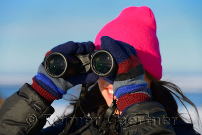 Young woman viewing polar bears in the Arctic with binoculars