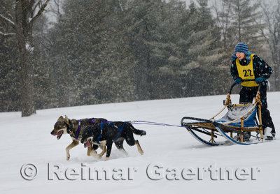 340 2 Dog Sled 8.jpg