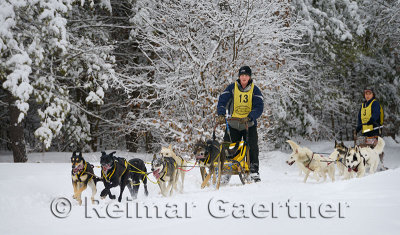 341 6 dog sled 14.jpg