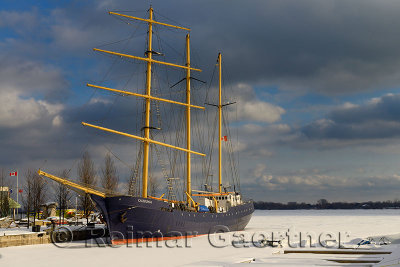 342 Caledonia 2.jpg