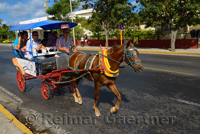 347 Horse Taxi.jpg