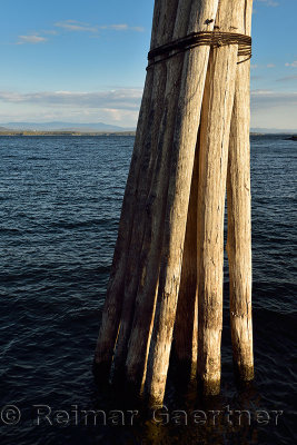 Pier pilings lashed together at Lake Champlain Ferry New York to Vermont