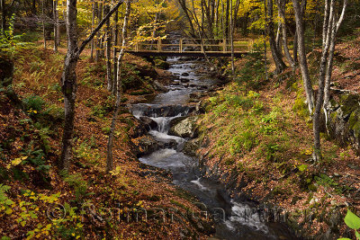 Foot bridge over Sterling Brook before the Falls with Autumn forest north of Stowe Vermont