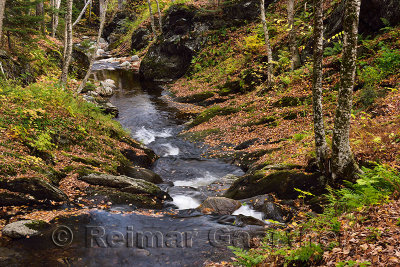 Sterling Brook before the Falls with Autumn forest north of Stowe Vermont