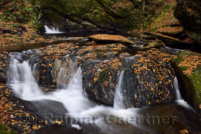 Seventh and eighth waterfall drop at Sterling Falls Gorge in Fall near Stowe Vermont