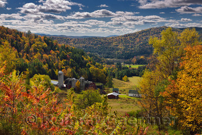 Hillside Acres farm Barnet Center Vermont with Fall colors