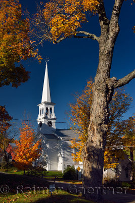 Maple trees and white church with clock tower in Peacham Vermont in the Fall