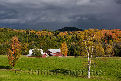 Sunny break on farmhouse with dark clouds among trees in Fall color Groton Vermont
