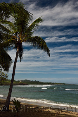 Coconut Palm tree on beach and classic gazebo at Maimon Bay Dominican Republic