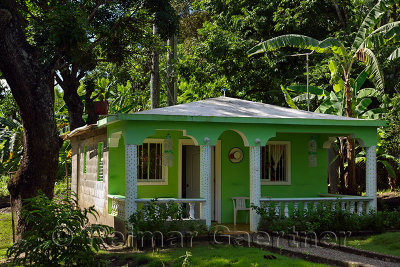 Rural cinder block house painted green in Dominican Republic with garden and jungle