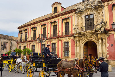 Groom caring for horses and mules drawing carriages at the Archibishops Palace Seville Spain
