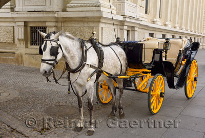 Waiting horse and carriage in the plaza de San Francisco Seville Spain
