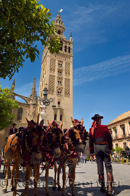 La Giralda bell tower of the Seville Cathedral with mule drawn carriage drivers Andalusia