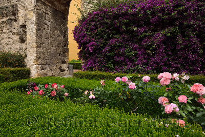 Entrance to Monteria Patio with Bougainvillea and roses Royal Palace Alcazar of Seville Spain