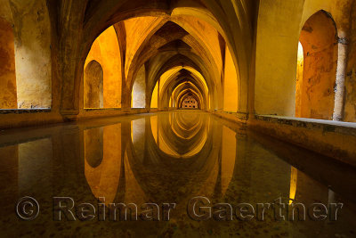 Baths of Lady Mary of Padilla rainwater reflecting pool under Alcazar palace Seville Andalusia