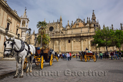 Horse drawn carriages in Plaza Triunfo with student tourists at the back of the Seville Cathedral
