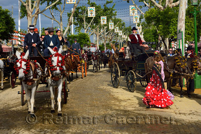 Horse and mule drawn carriages on cobblestone street of Seville April Fair