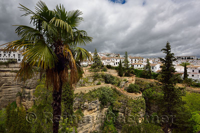 The hanging gardens of Cuenca over El Tajo Gorge with whitewashed houses of Ronda Spain