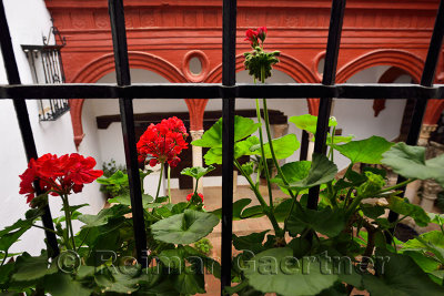 View through wrought iron window with geranium flowers of entrance courtyard of Mondragon Palace