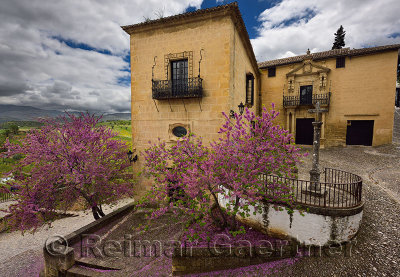Blooming redbud trees at the Palace of the Marquis of Salvatierra with Inca nudes and cross in Ronda Spain