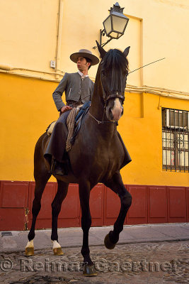 Horse and rider promoting the equestrian Show on Caballerizas Reales street Cordoba