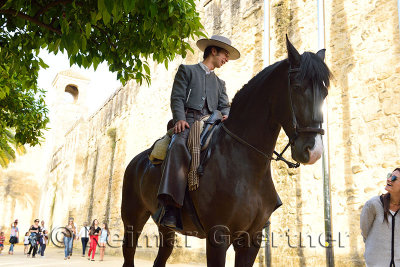 Rider on horse talking to a tourist promoting the equestrian show at Alcazar Cordoba