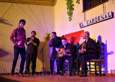 Hot male Flamenco tap dancing on stage at night in an outdoor courtyard in Cordoba Spain