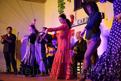 Ensemble of Flamenco artists on stage at Tablaos El Cardenal Cordoba Spain
