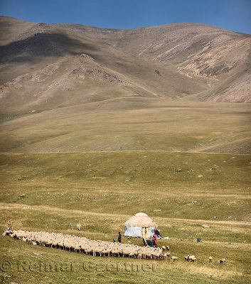 Herding family with yurt and sheep in remote Assy Turgen Plateau Kazakhstan