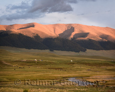 Sunset on hills of Assy Turgen Plateau with yurts stream and grazing cattle and sheep Kazakhstan