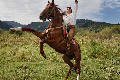 Kazakh horse rider raising arm on rearing mare in Huns village Kazakhstan