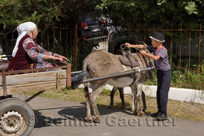 Young boy grabbing leads to donkey for grandmother in Kalinino Basshi village Kazakhstan