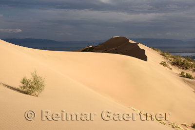 Gold dunes at Singing Sand Dune Altyn Emel Park with Ili river and Violet mountains Kazakhstan