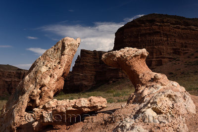 Snake and mushroom red sandstone rock sculpture in Valley of Castles Charyn Canyon Park Kazakhstan
