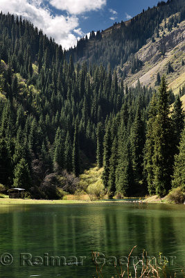 Pond above Kaindy Lake at campground in Kungey Alatau Mountains Kazakhstan